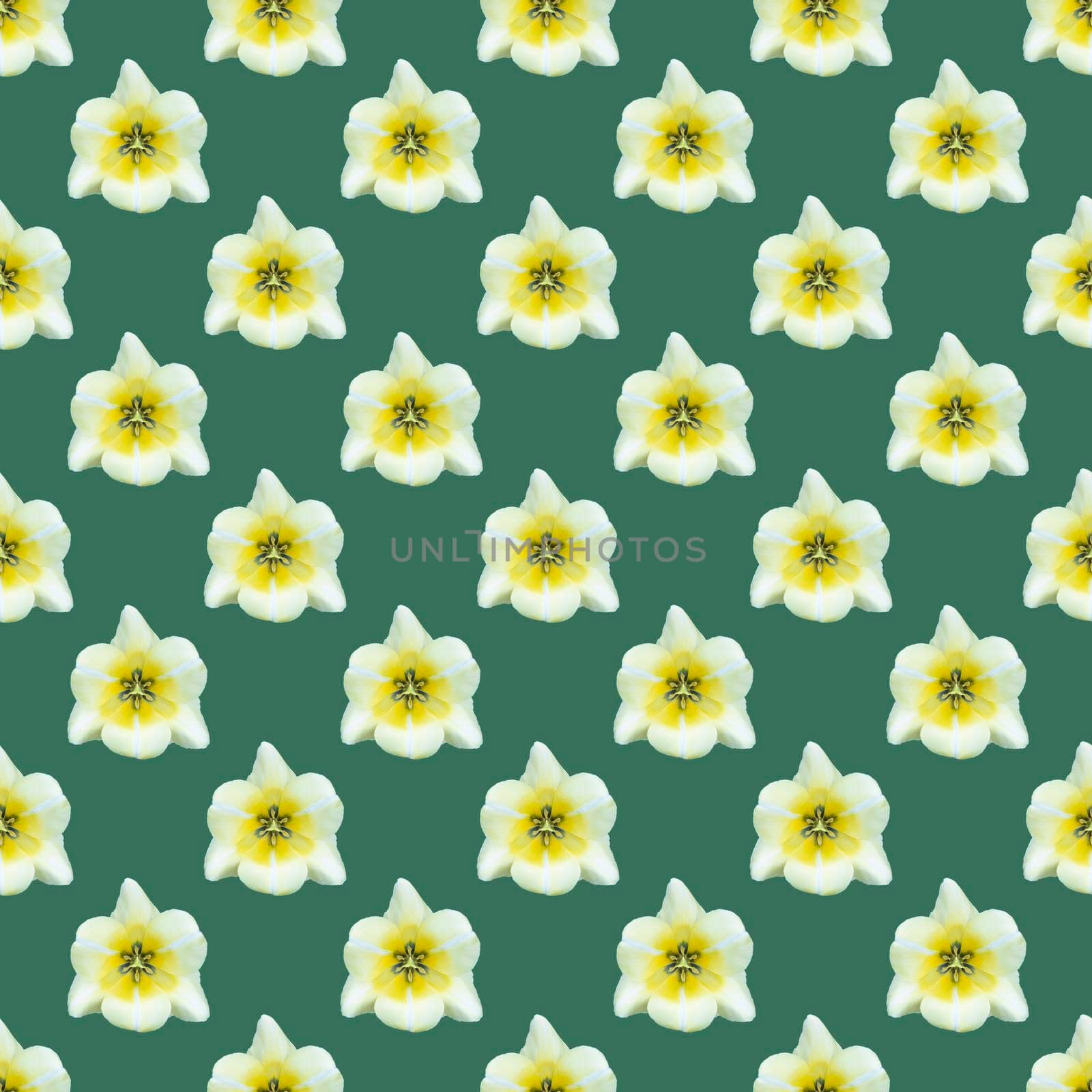 seamless pattern of a tulip bud on a green background by roman112007