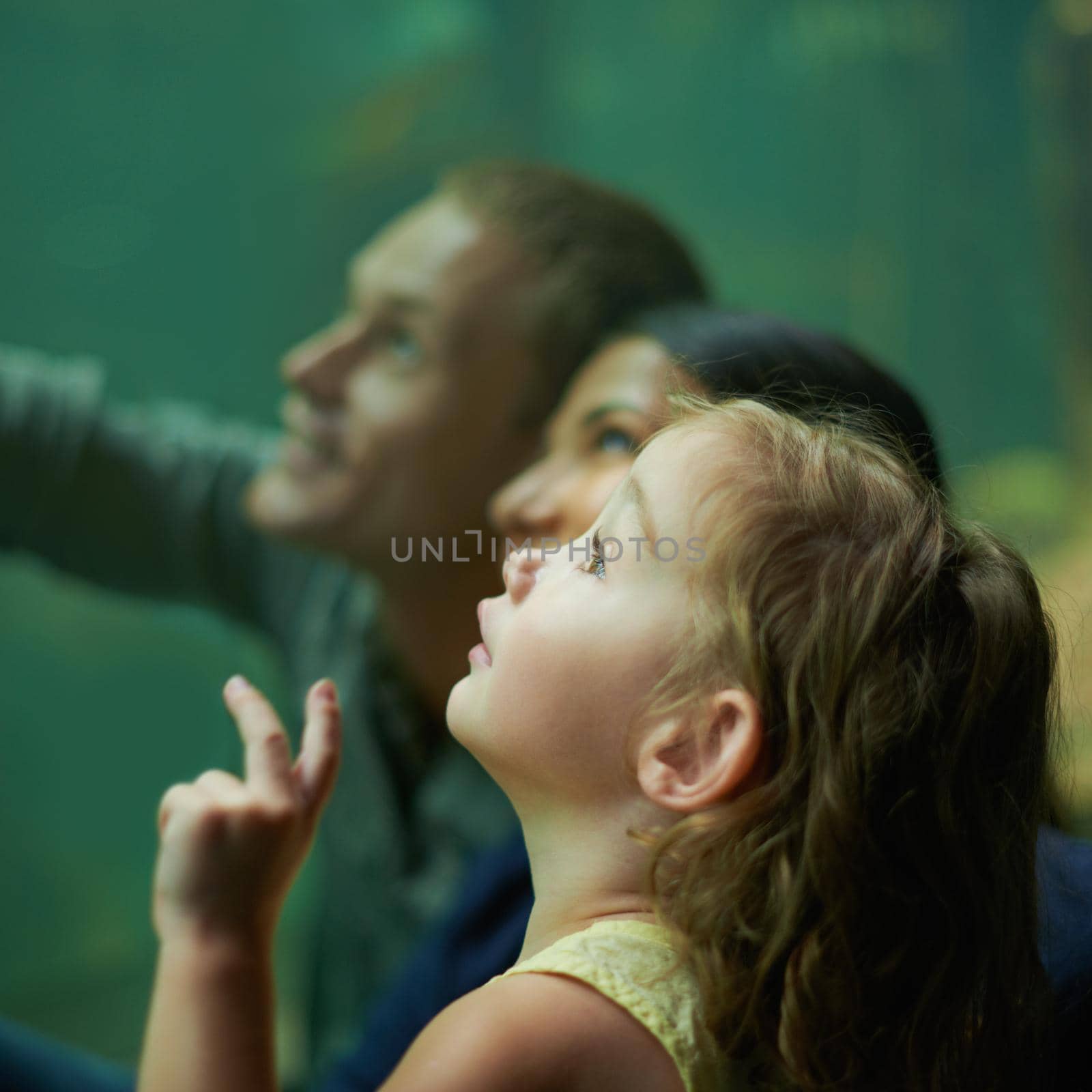 So much to see. Shot of a family of three on an outing to the aquarium. by YuriArcurs