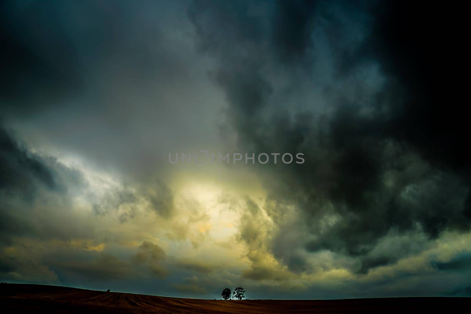 Silhouette of parent and child tree. Shooting Location: Hokkaido Biei-cho