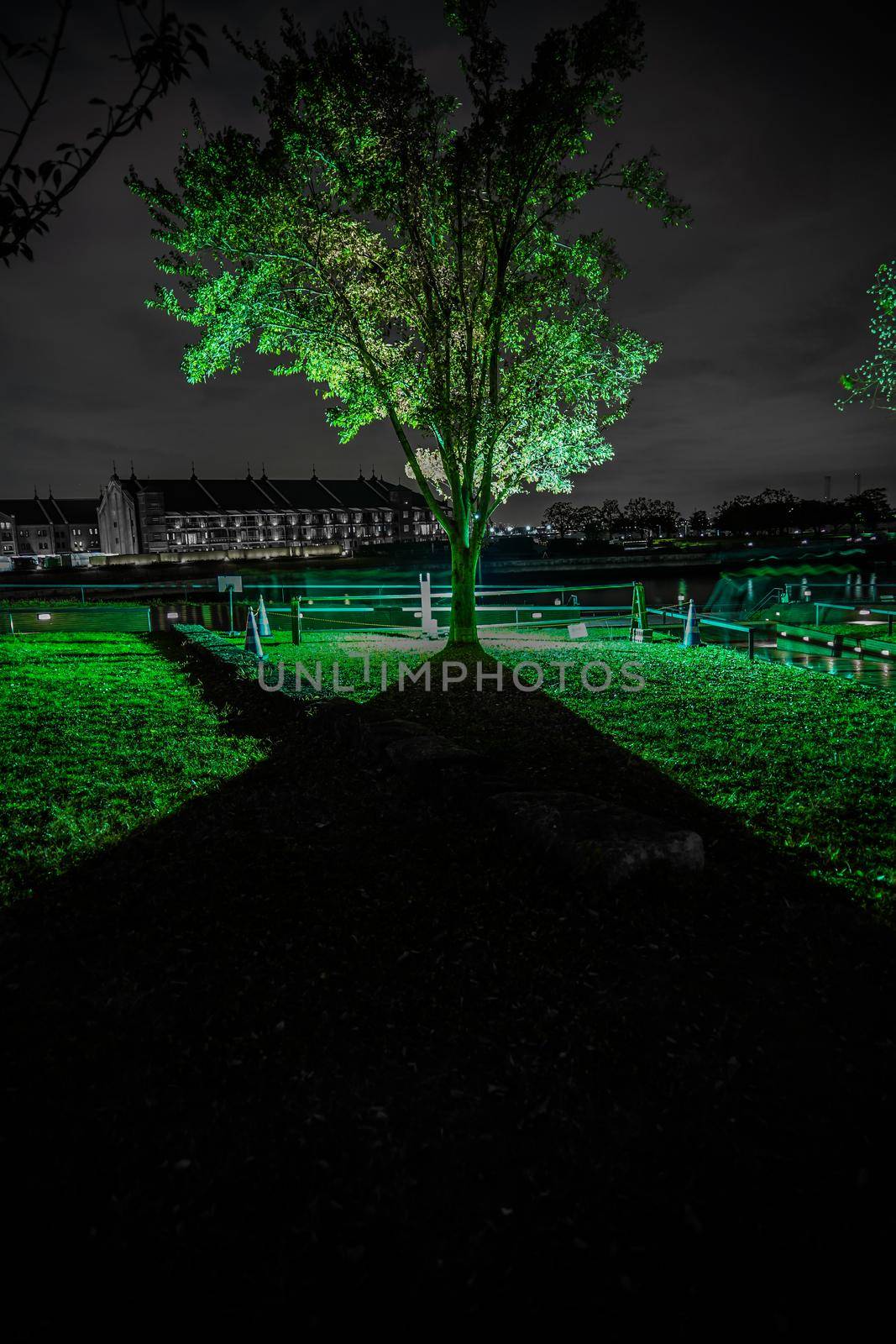 Silhouette of green tree. Shooting Location: Yokohama-city kanagawa prefecture