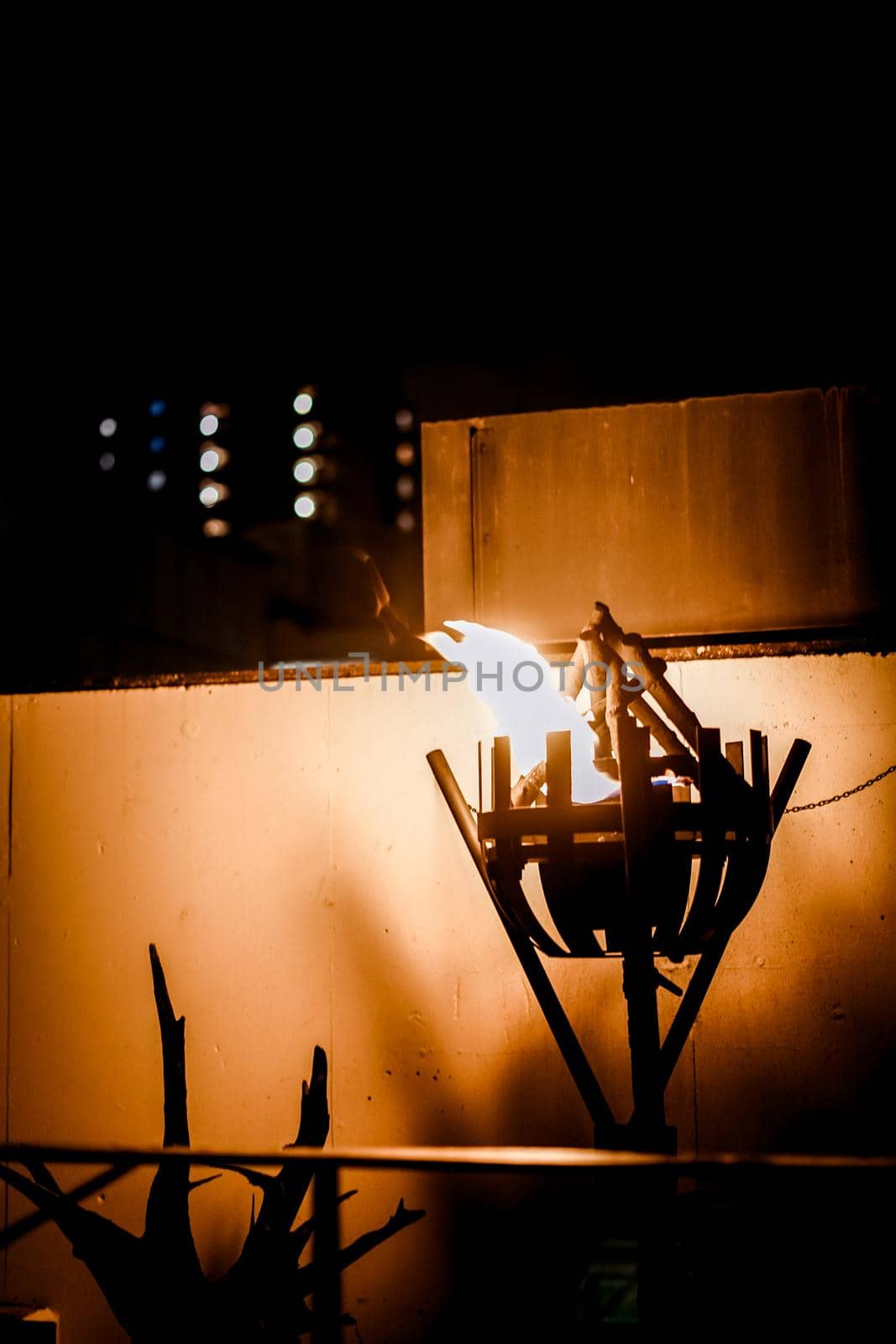 Interior image of foamed Matsuaki. Shooting Location: Sri Lanka, Candy