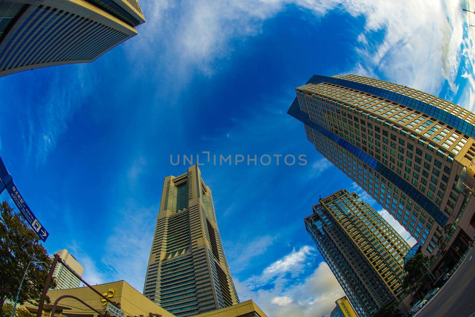 Yokohama Minato Mirai Office City and Autumn. Shooting Location: Yokohama-city kanagawa prefecture