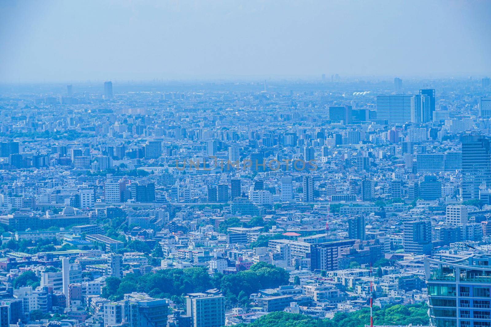 Tokyo cityscape seen from Shibuya Sky. Shooting Location: Tokyo metropolitan area