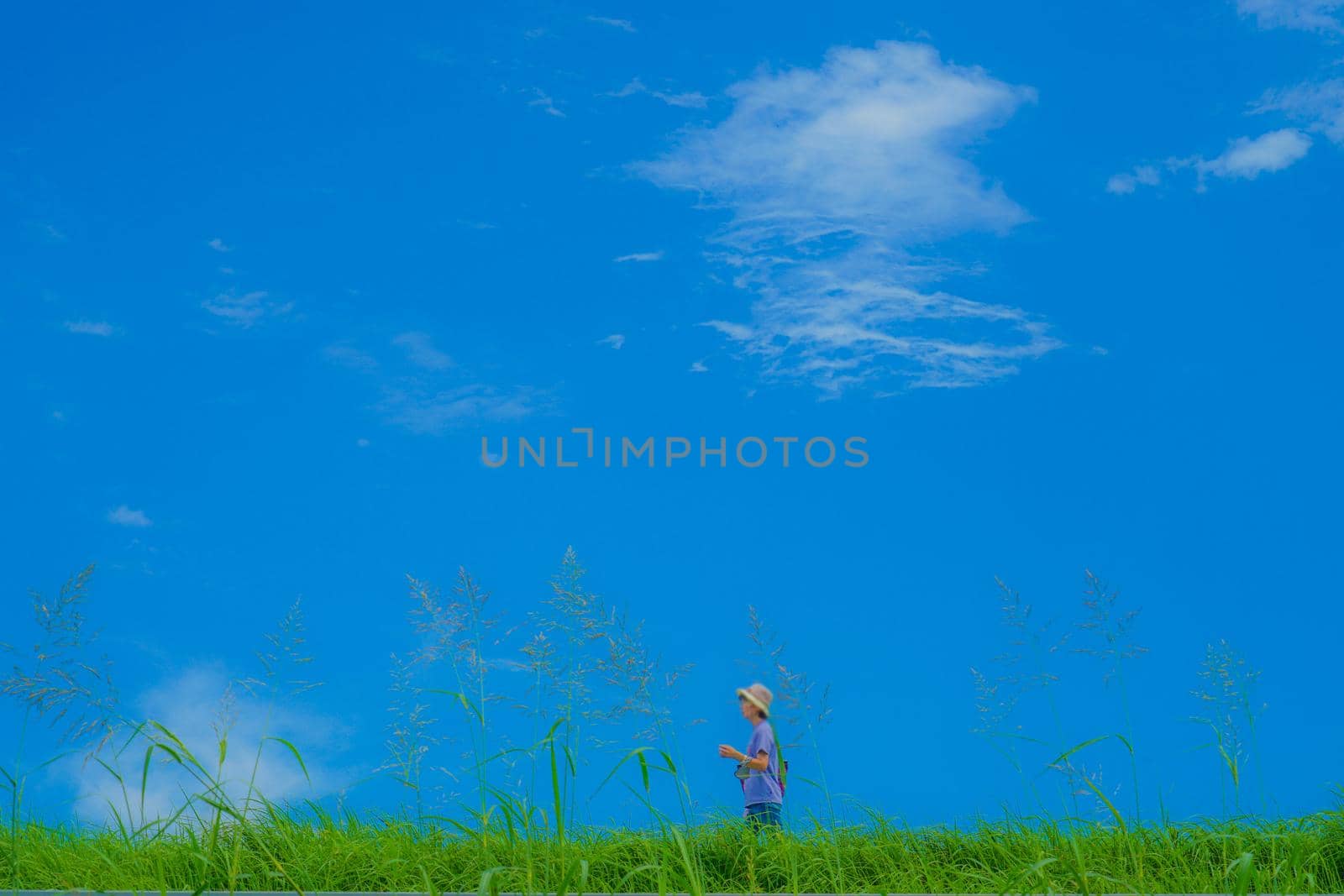 People who walk riverbed (background material). Shooting Location: Tokyo metropolitan area