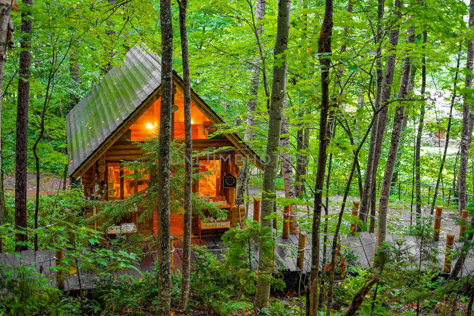 Image of Lodge standing in the forest. Shooting Location: Hokkaido Furano