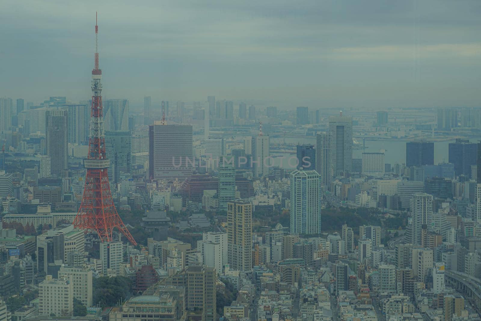 Tokyo cityscape seen from Roppongi Hills. Shooting Location: Tokyo metropolitan area