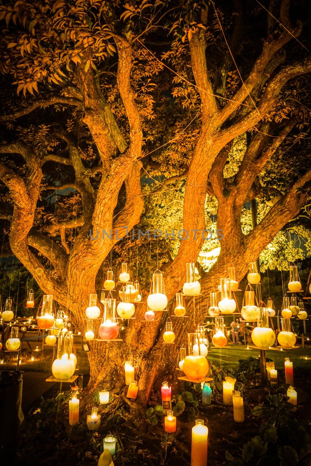Many colorful candles. Shooting Location: Enoshima