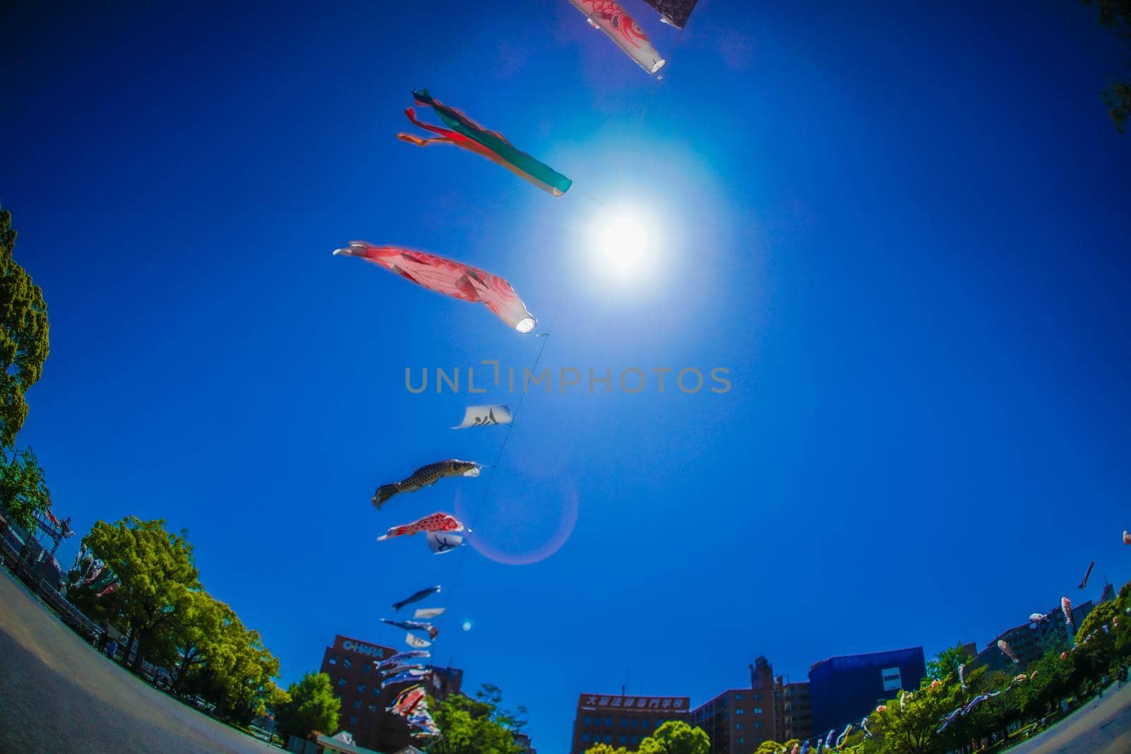 Blue sky and carp streamer. Shooting Location: Yokohama-city kanagawa prefecture