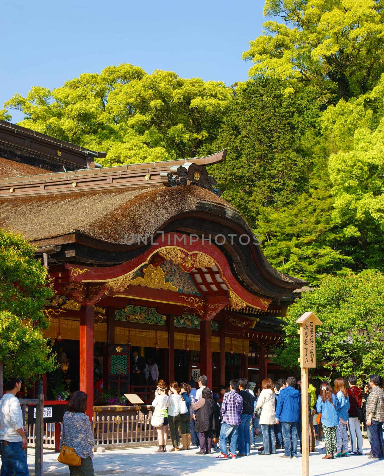 Dazaifu Tenmangu. Shooting Location: Tokyo metropolitan area