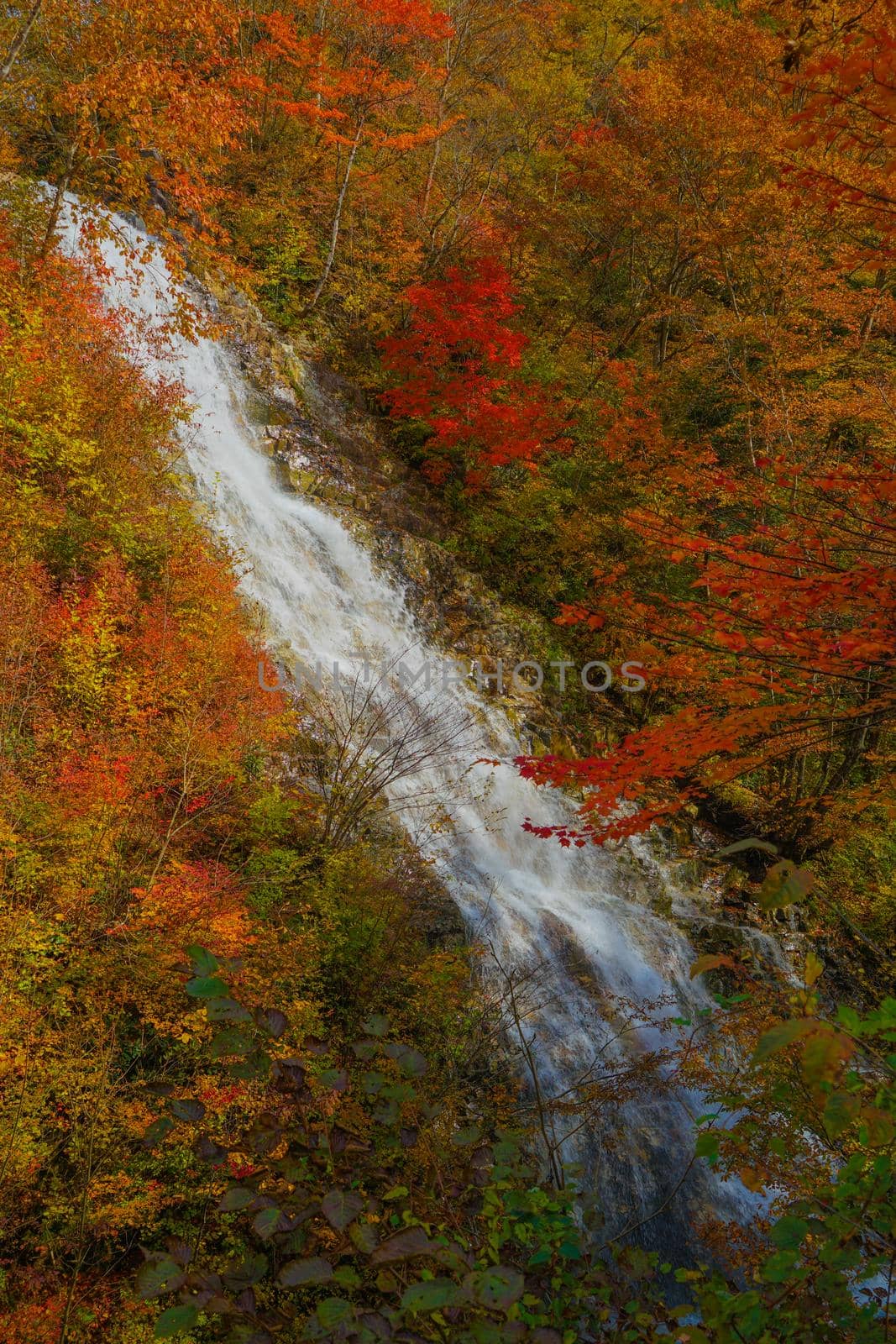 Shakunage waterfall and autumn leaves (Shimanto Lake). Shooting Location: Gunma Prefecture