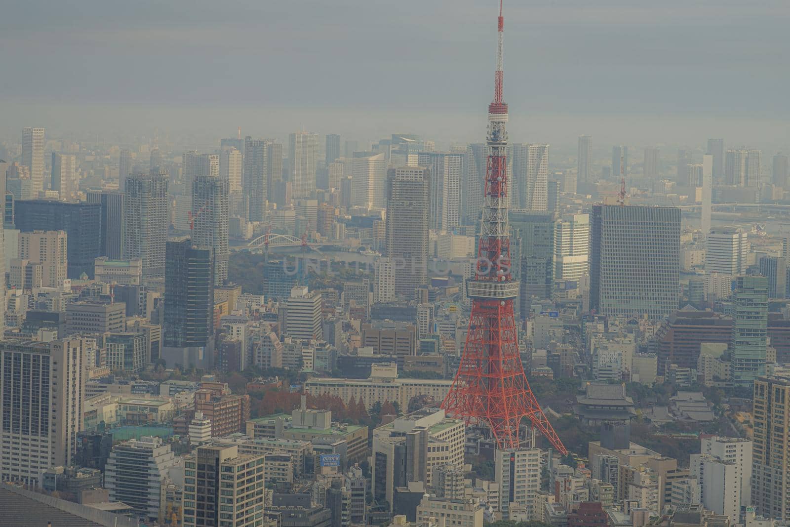 Tokyo cityscape seen from Roppongi Hills. Shooting Location: Tokyo metropolitan area