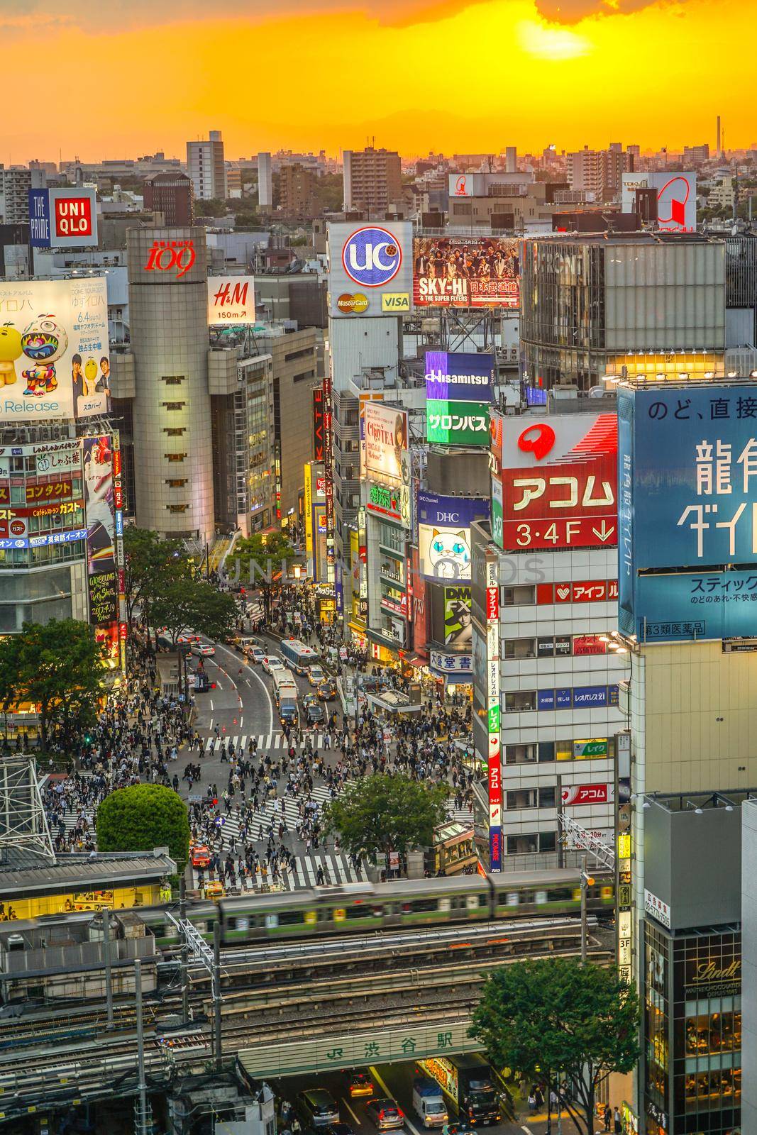 Shibuya scramble intersection seen from Shibuya Hikarie. Shooting Location: Tokyo metropolitan area