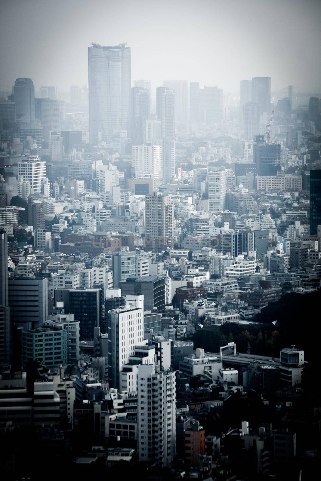 Tokyo cityscape seen from Tokyo Metropolitan Observatory. Shooting Location: Tokyo metropolitan area