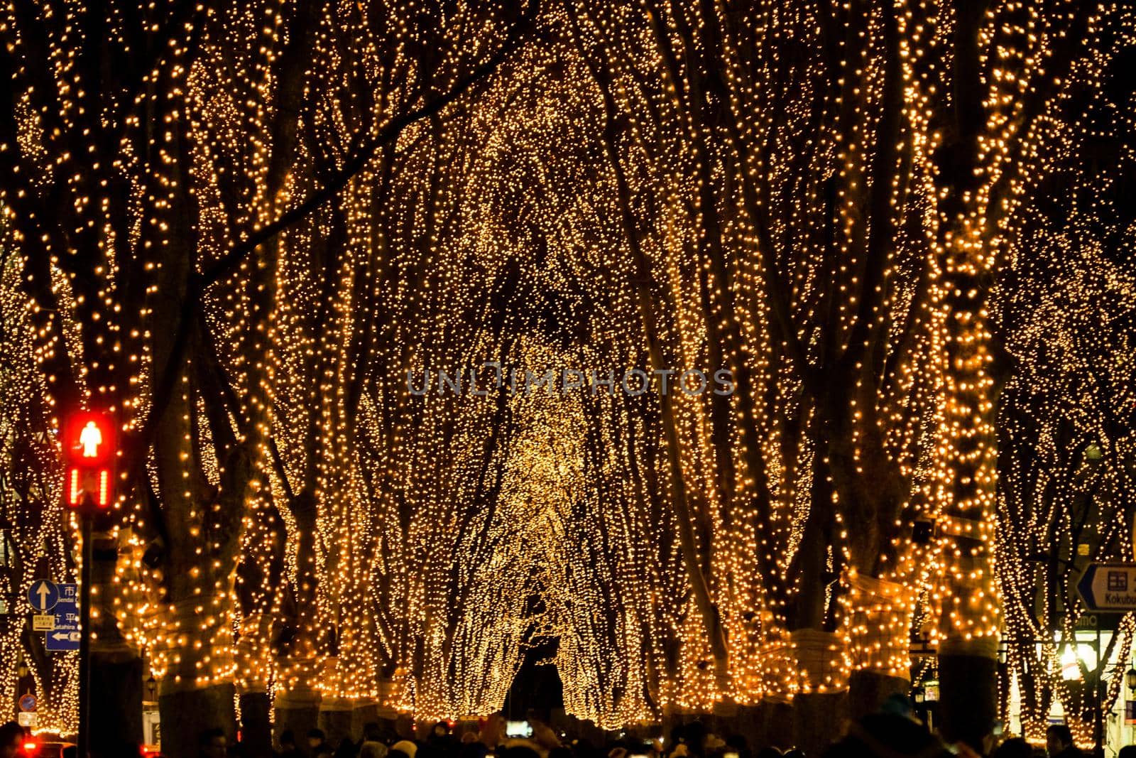 Night view of the light of light of Sendai Jinjoji Street. Shooting Location: Sendai, Miyagi Prefecture