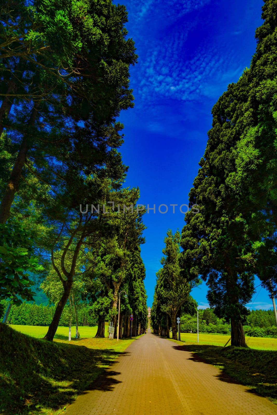 Torapist abroad entrance. Shooting Location: Hokuto City Hokkaido