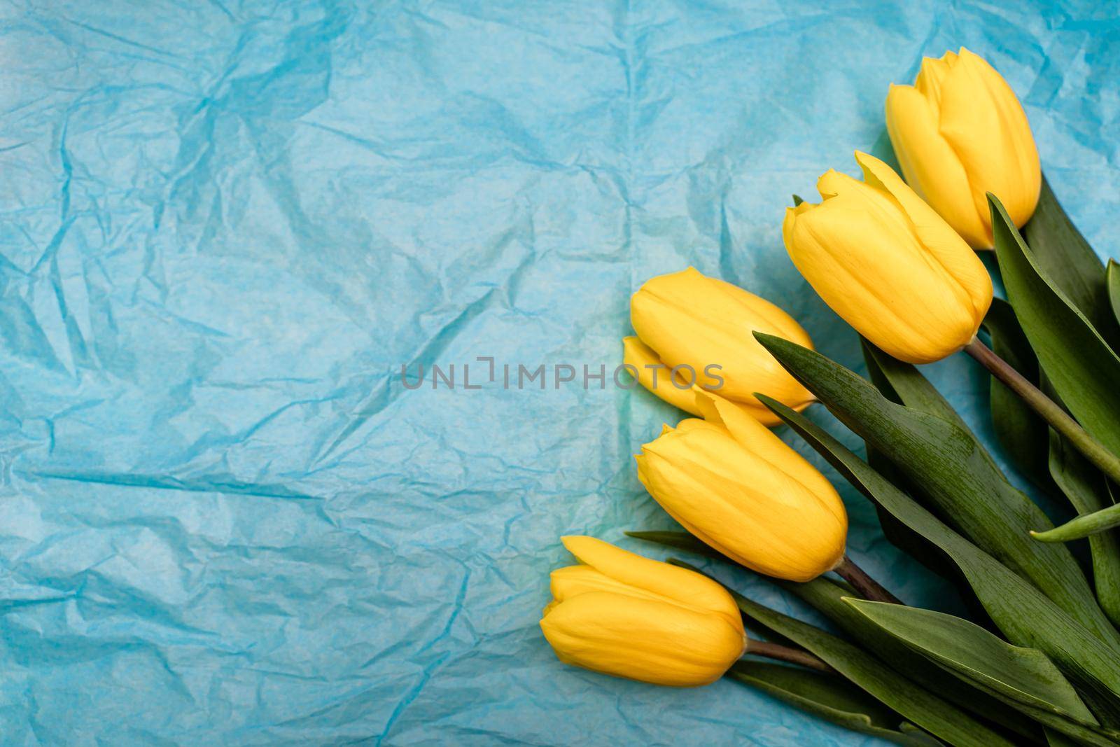 Frame of tulips on turquoise background. Spring flowers. Greeting card for Valentine's Day, Woman's Day and Mother's Day. Top view. by Matiunina