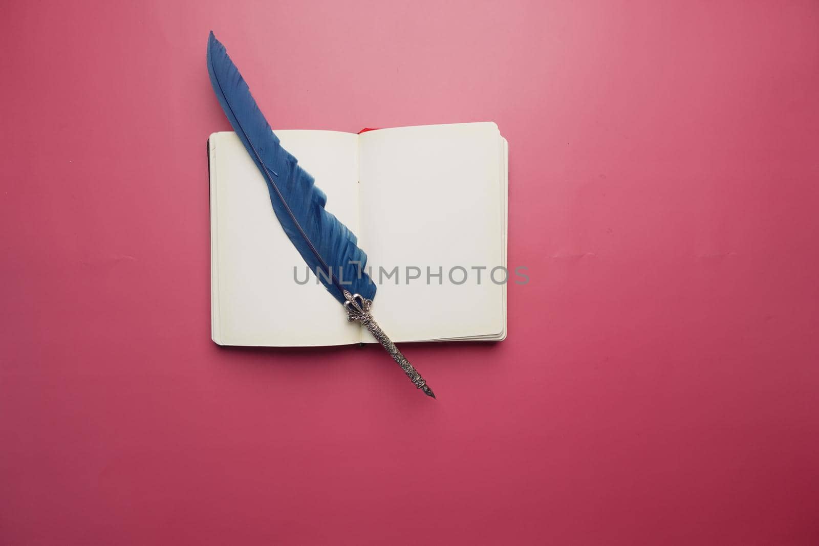 a open book and a fountain pen on ted background .