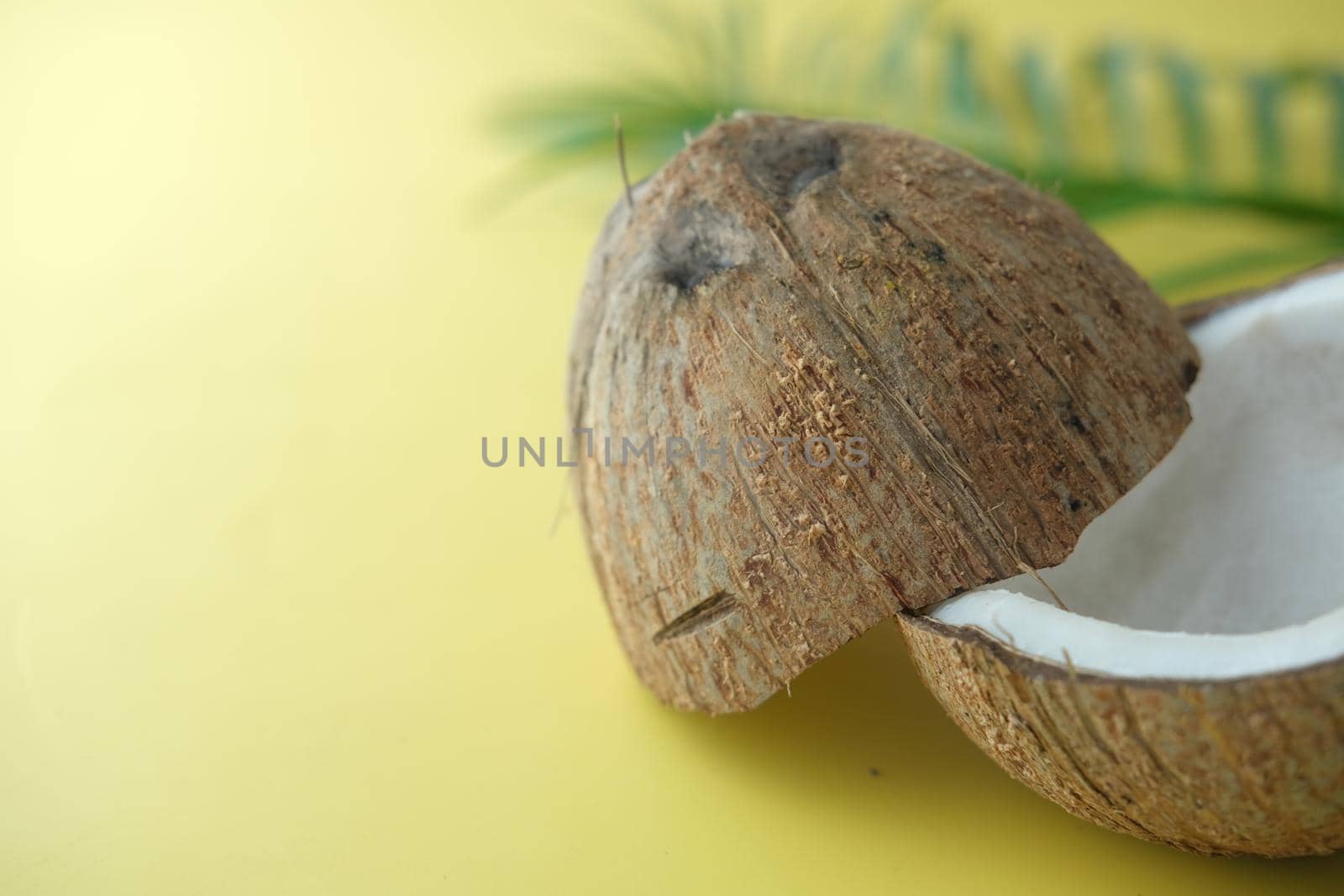 slice of fresh coconut on a table cloth .