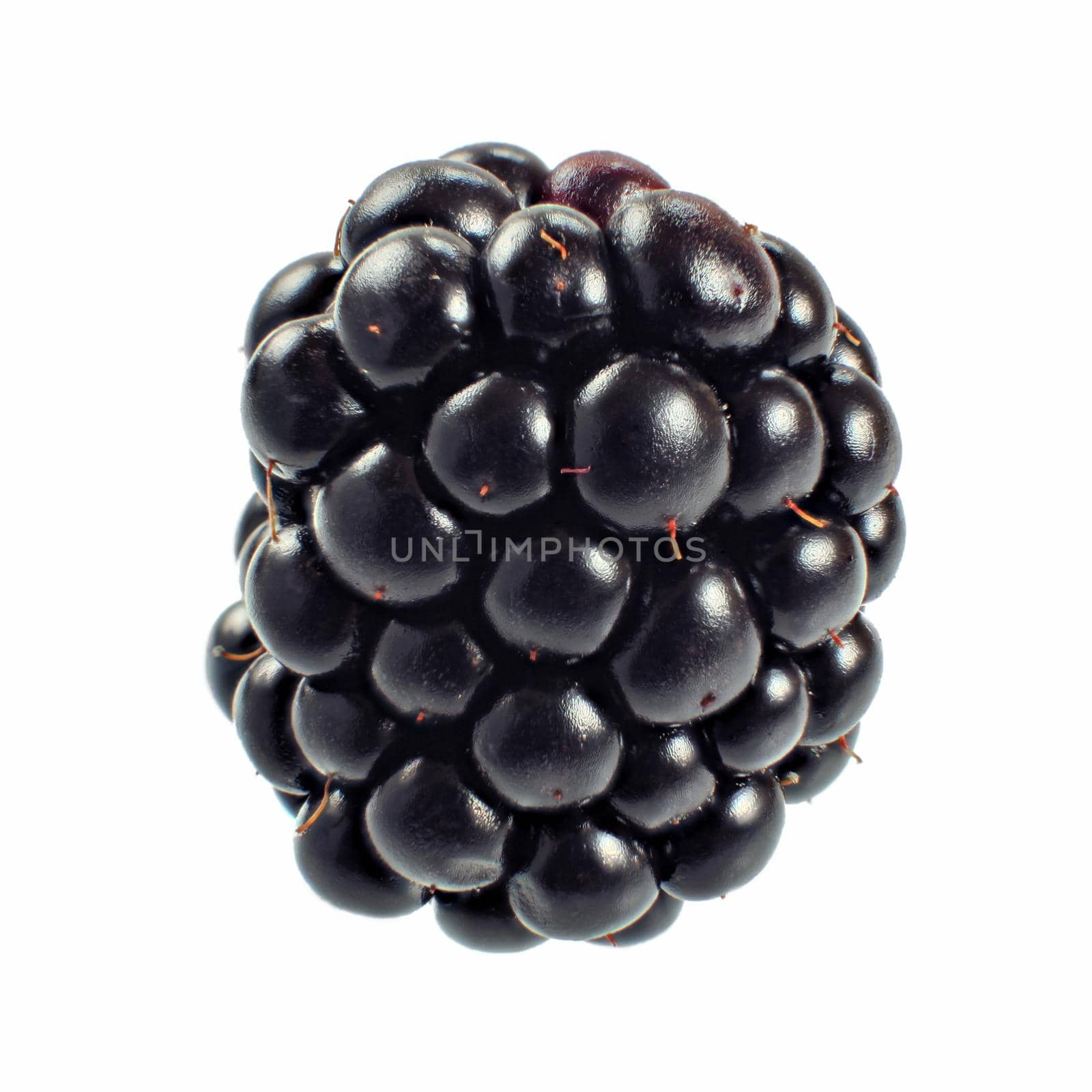 Blackberry isolated on white background. by Ivanko