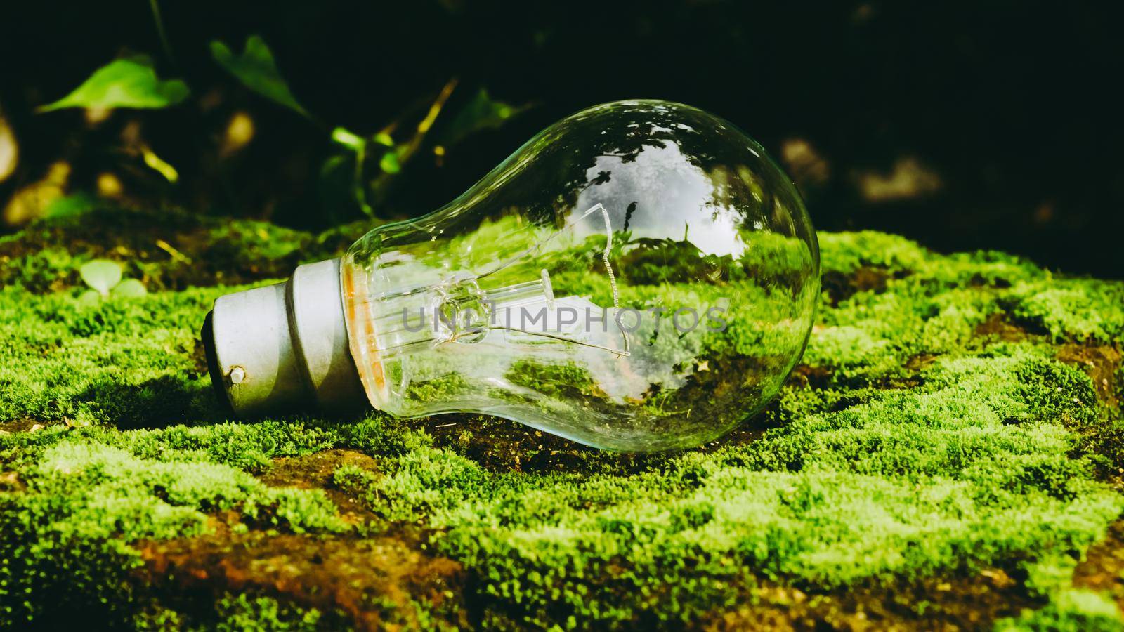 A fluorescent light bulb in sunlight on green nature background. Green business, economy, eco-industries start up ideas innovation background . Go Green to minimize human impact on environment concept by sudiptabhowmick