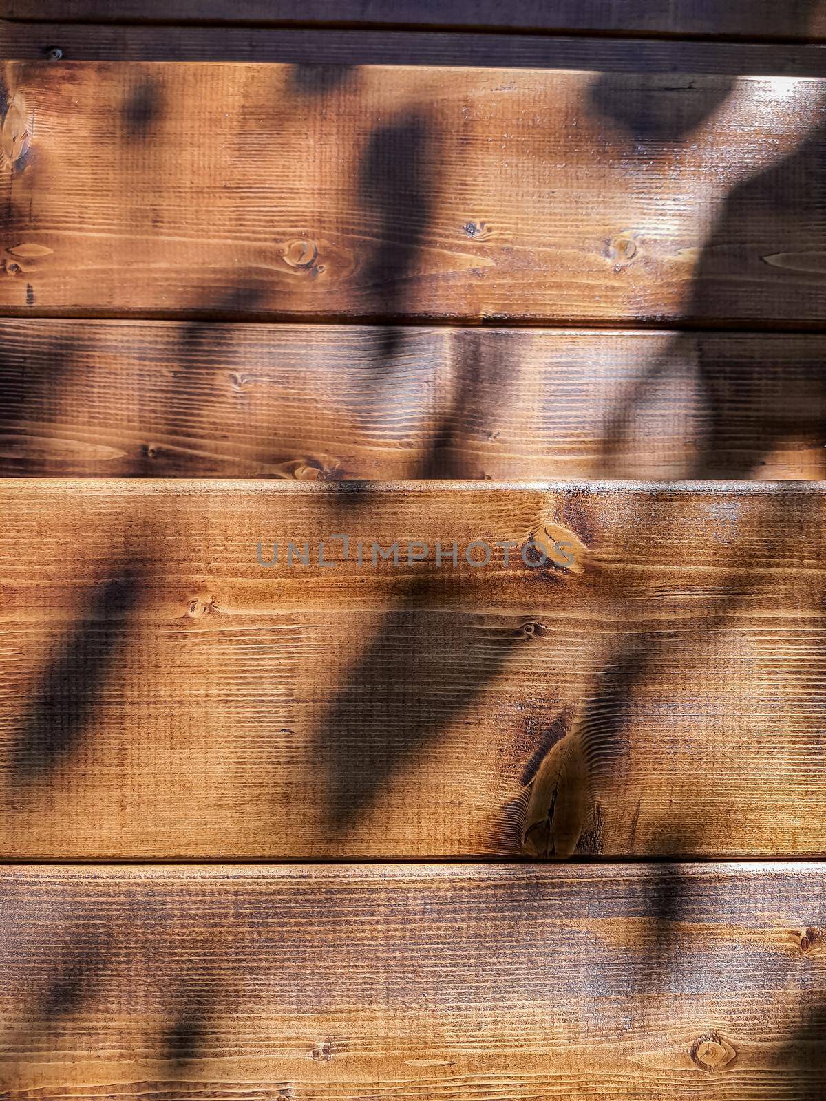 Brown Wood wall plank texture background with light and shadow of branches of rose in the morning