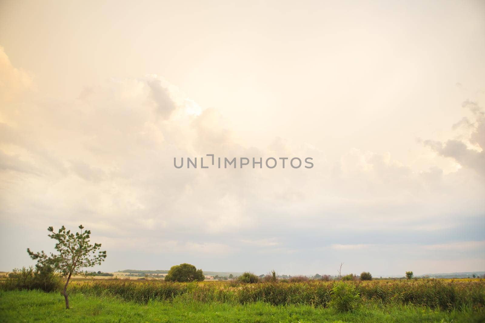 green field and big white clouds, summer sunset.