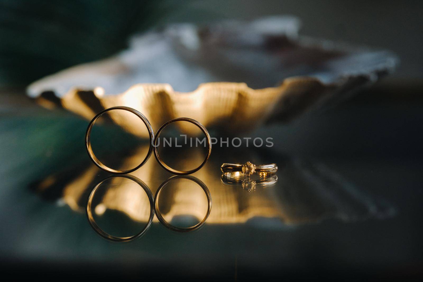 A pair of gold wedding rings.Two wedding rings.