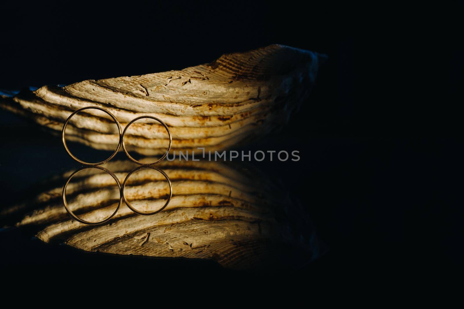 A pair of gold wedding rings.Two wedding rings.