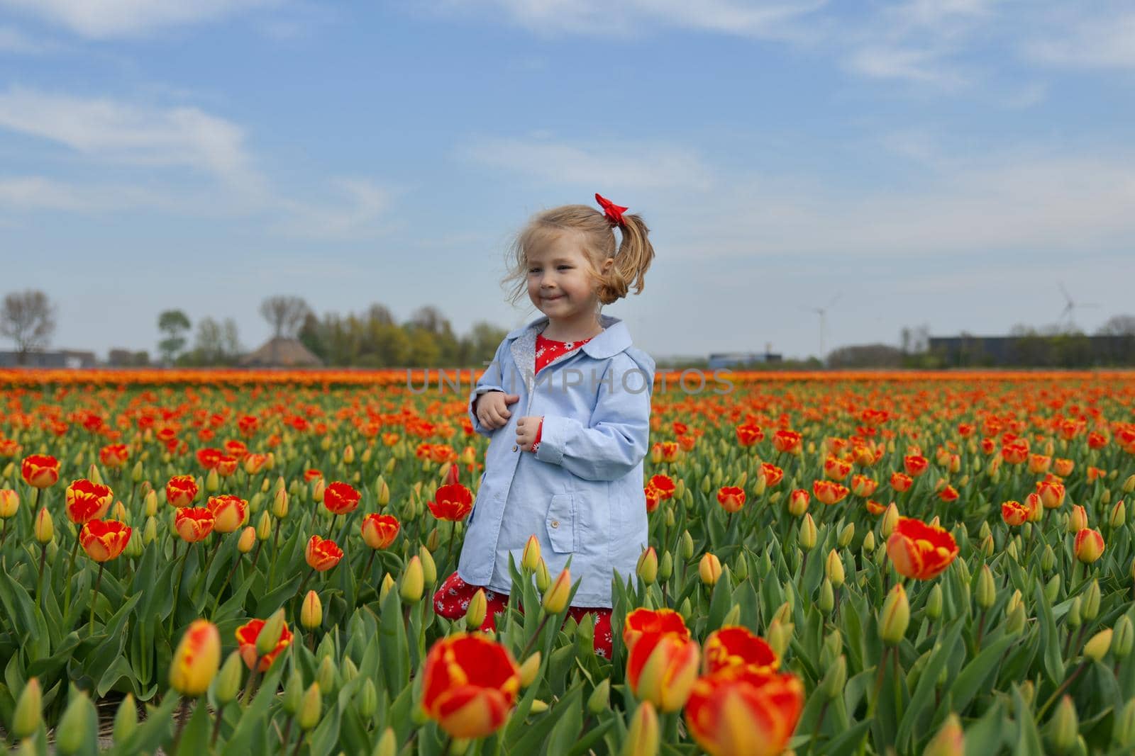 Happy girl running in a orange tulip field