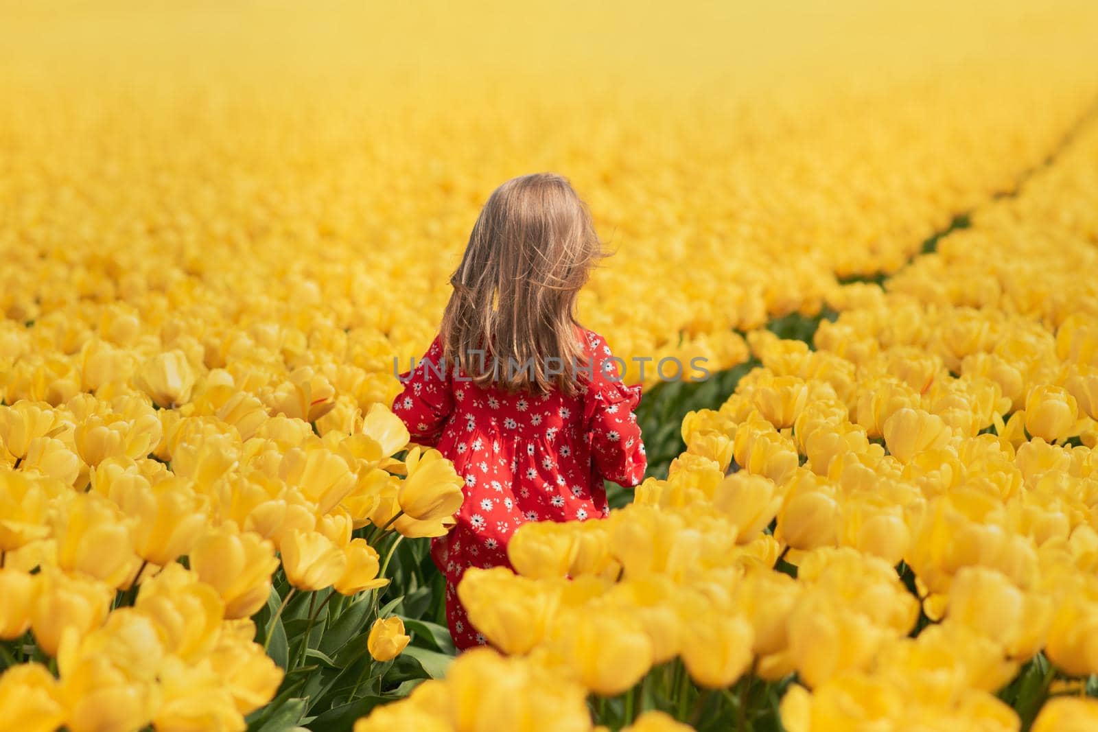 Girl running in a yellow tulip field by Godi