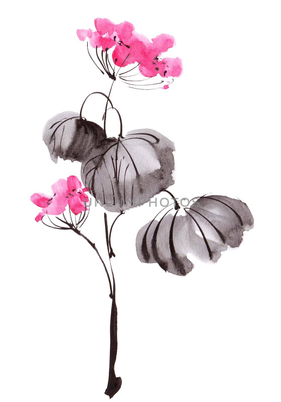 Watercolor and ink illustration of blossom geranium - oriental traditional painting sumi-e or gohua