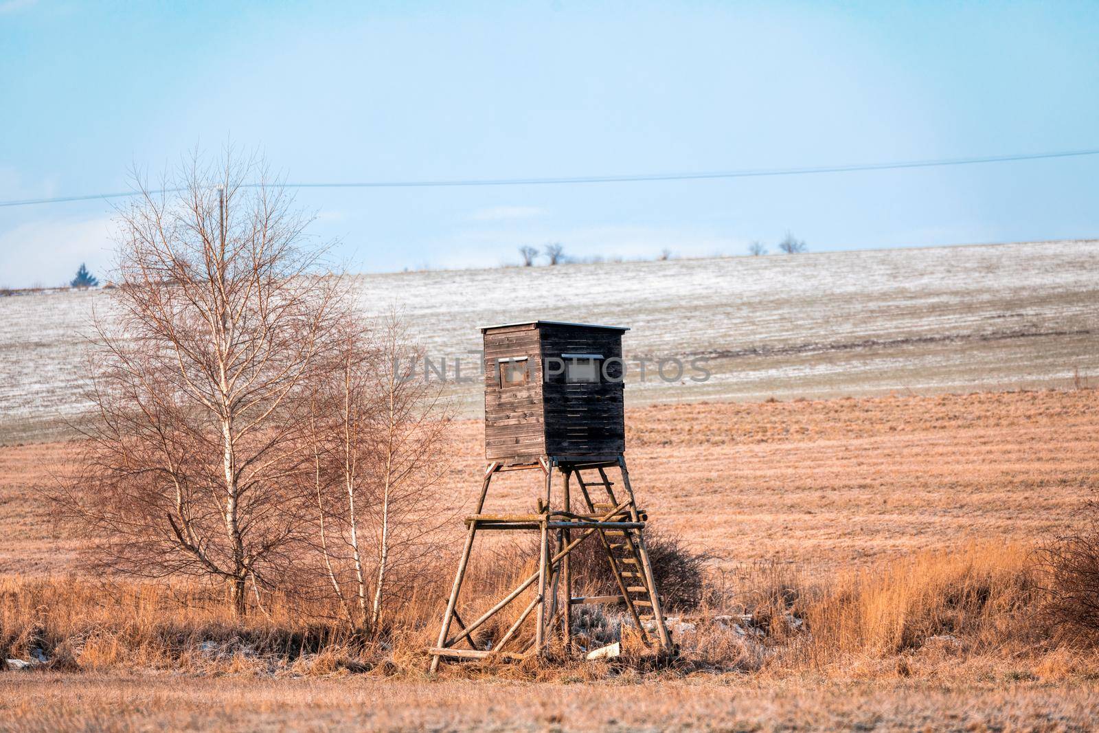 Wooden hunting tower in forest by artush