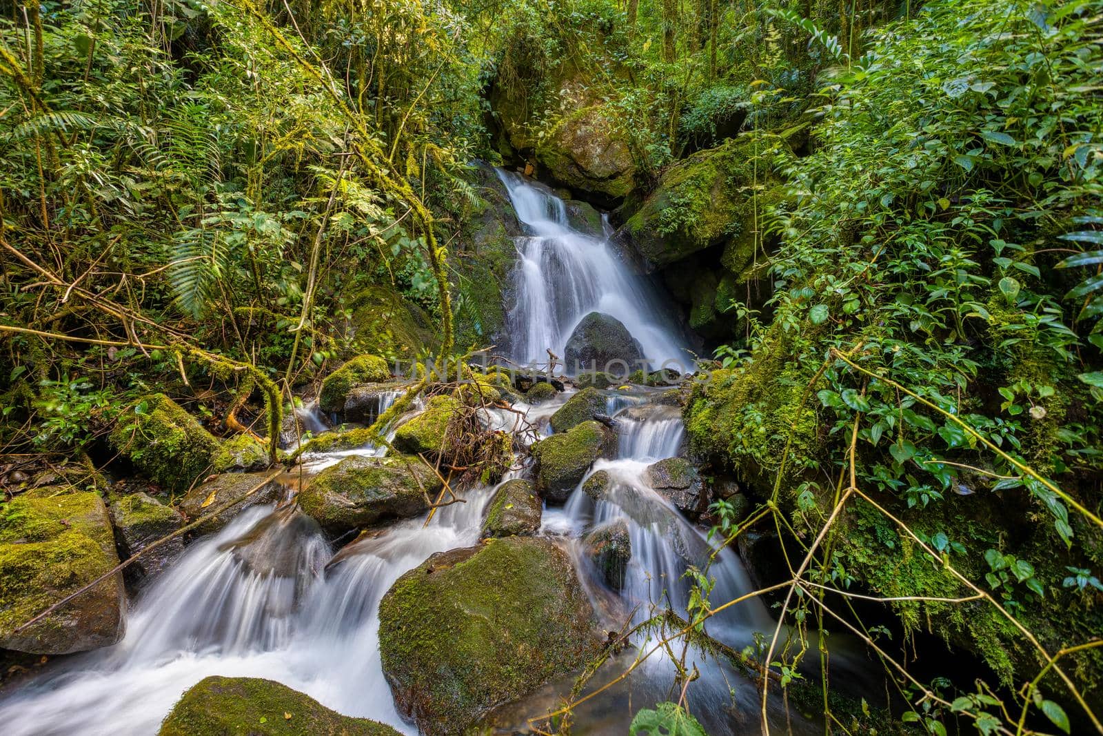 Small wild mountain river, long exposure make milky water. Stunning landscape of wilderness and pure nature. San Gerardo de Dota, Costa Rica.