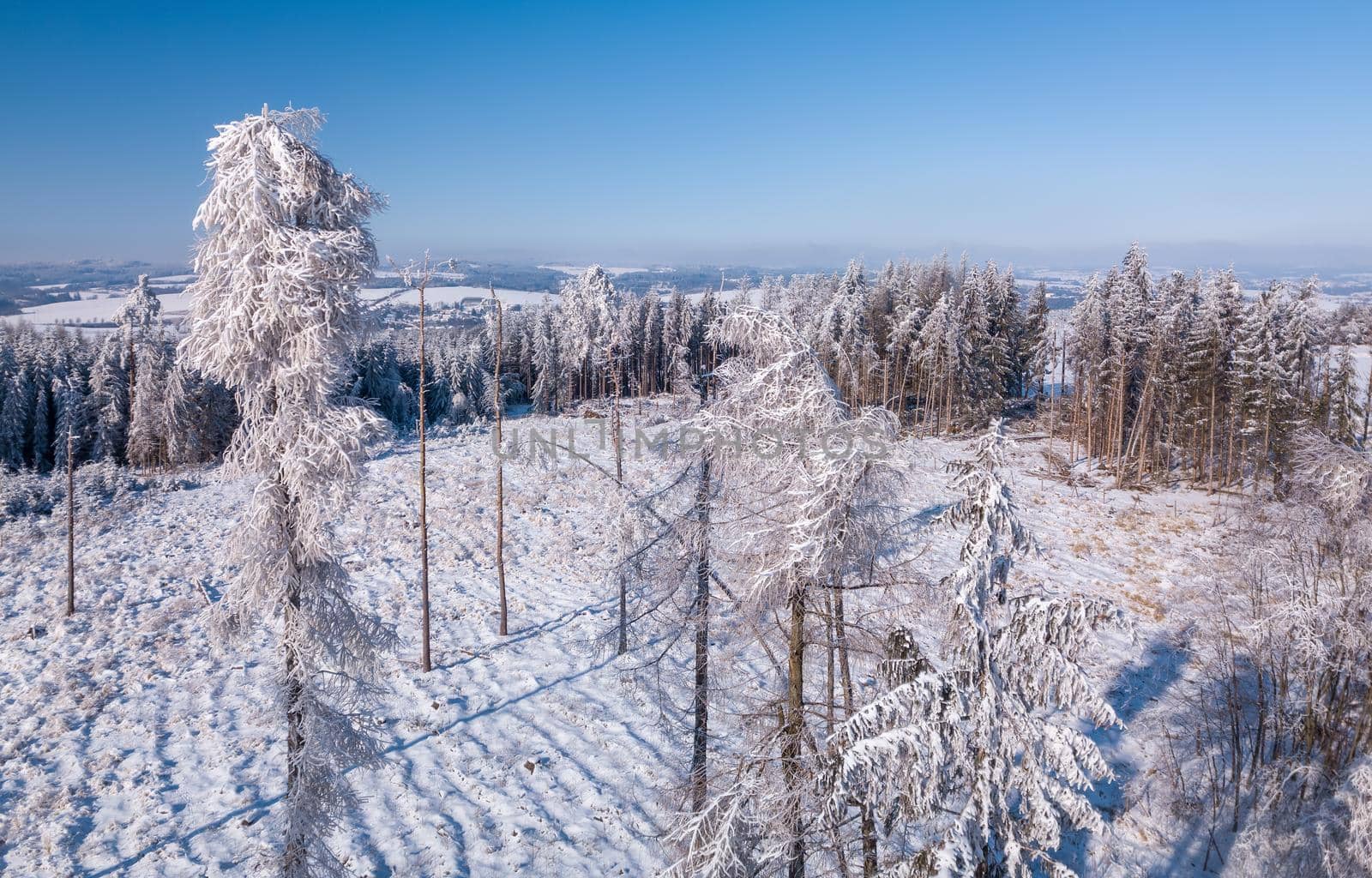 Aerial view of winter landscape covered by snow in sunny day. Czech Republic, Vysocina region highland