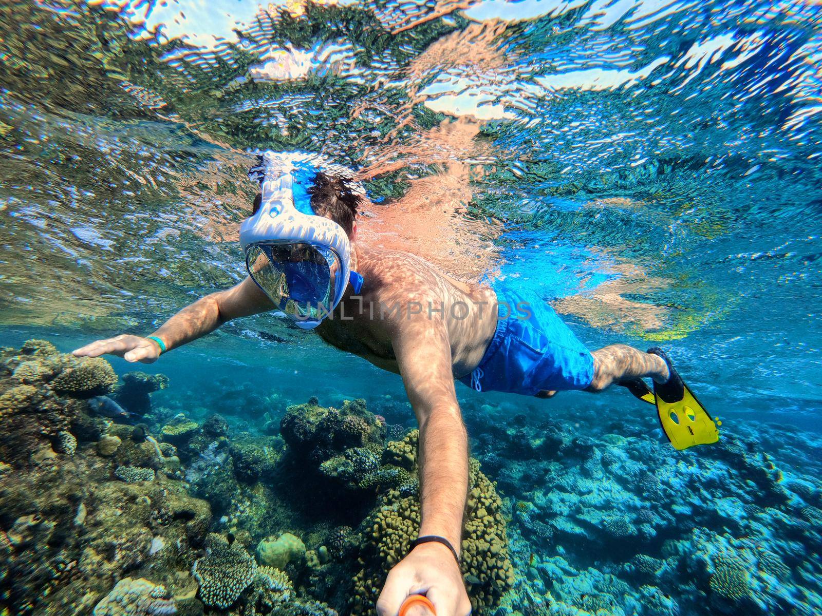 Snorkel swim in coral reef in Red sea, Egypt by artush