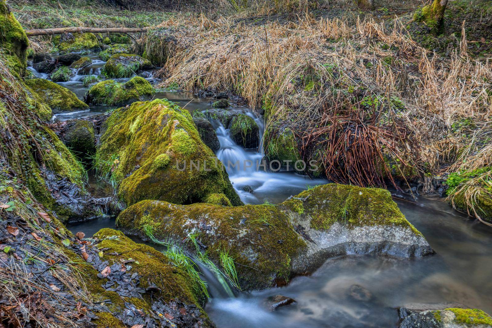 Small forest creek in a woodland, long exposure photo, Vysocina, Highland Czech Republic, Europe