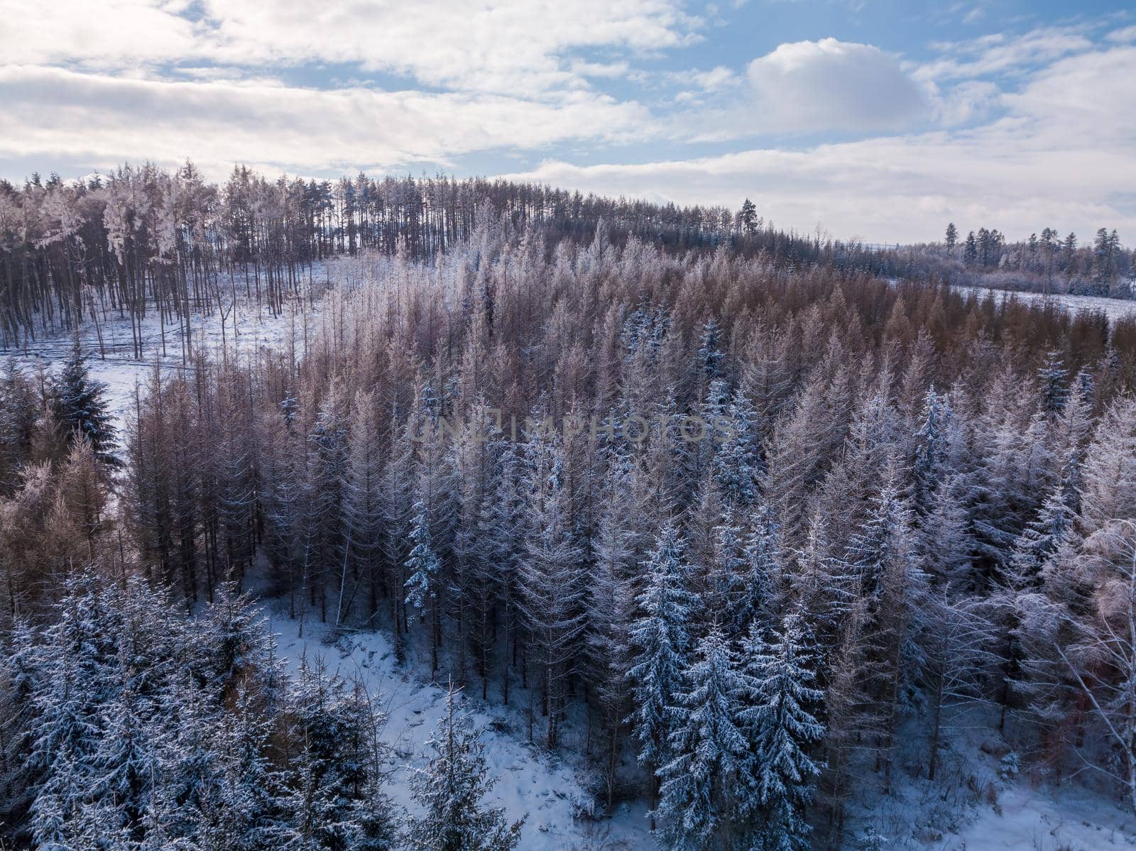 Aerial view of winter landscape covered by snow in sunny day. Czech Republic, Vysocina region highland