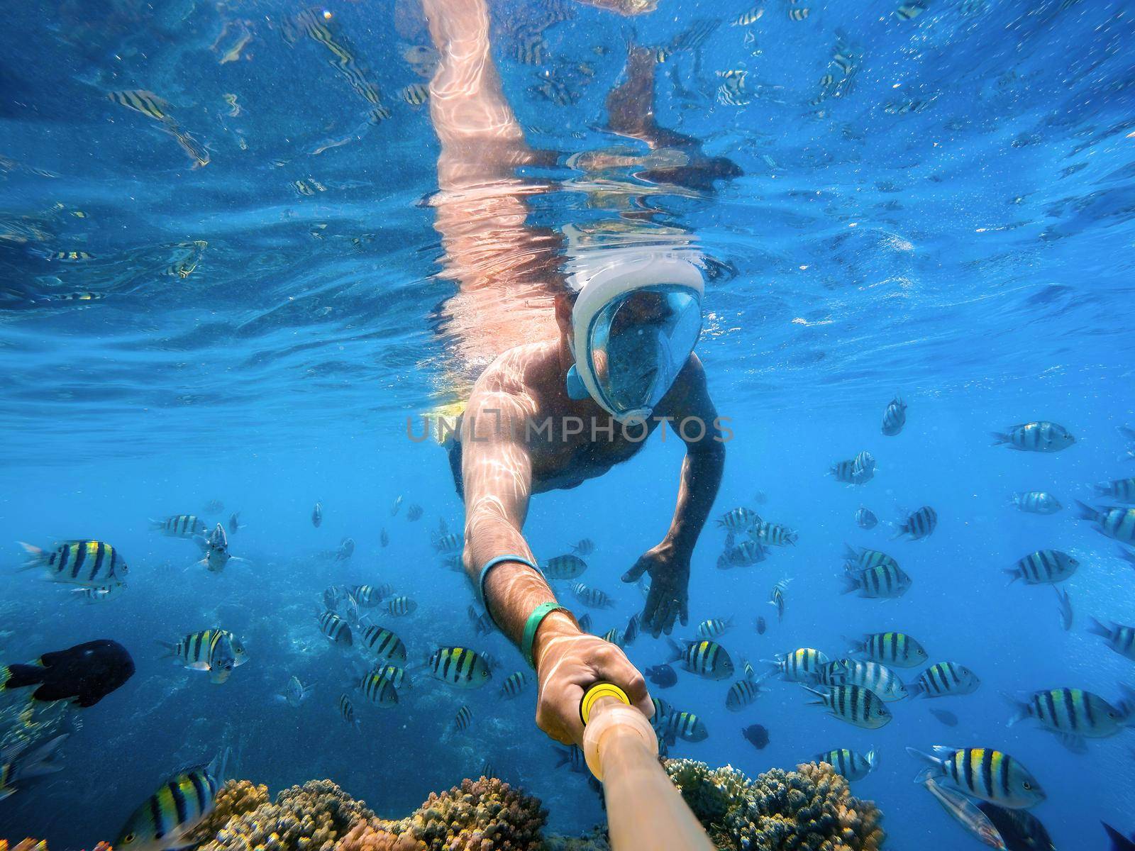 Snorkel swim in coral reef in red sea. Exotic tropics paradise with fish. Marsa alam, Egypt. Summer holiday vacation concept