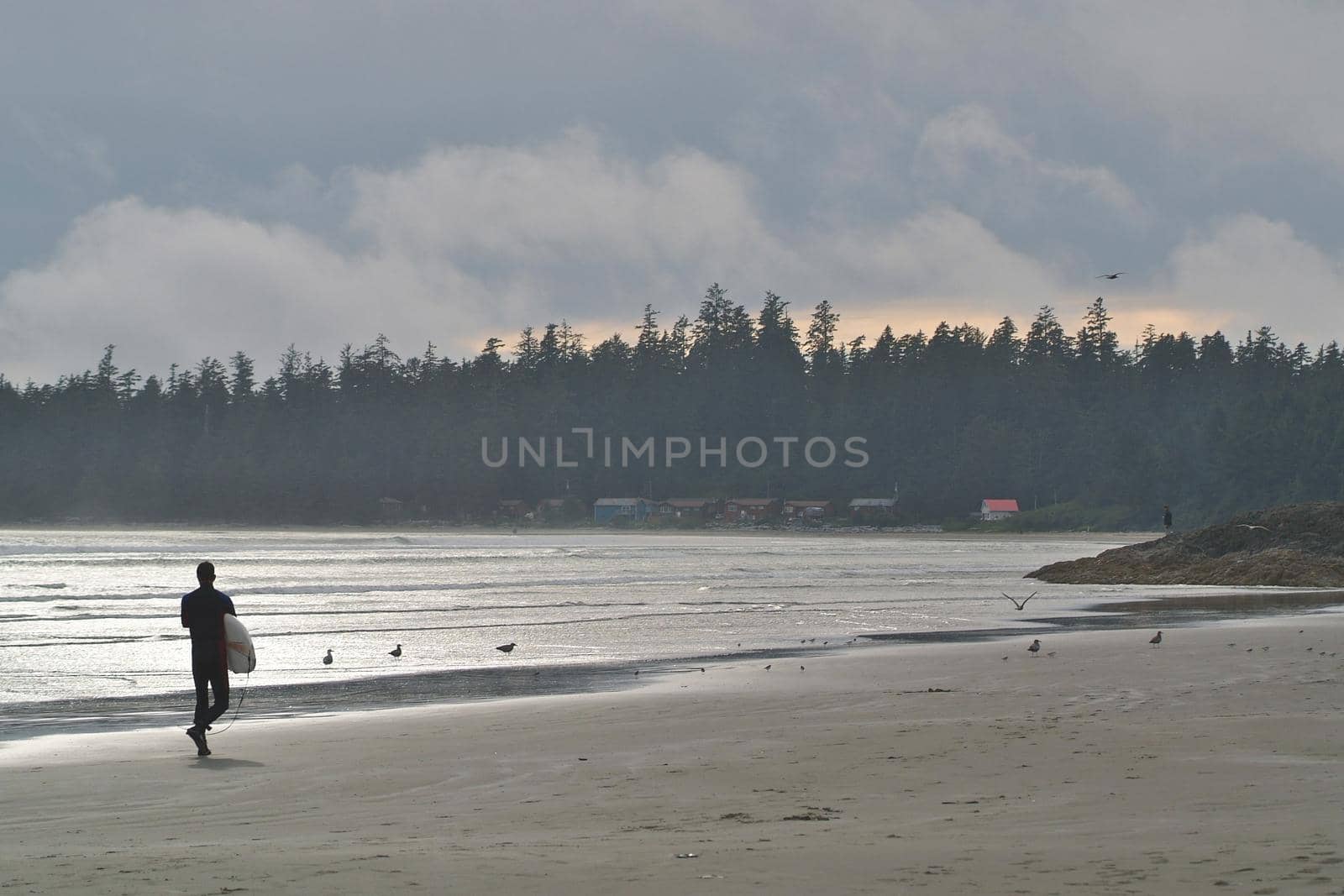 A Surfer Carries his Board Along the Beach in Tofino British Columbia in Canada by markvandam