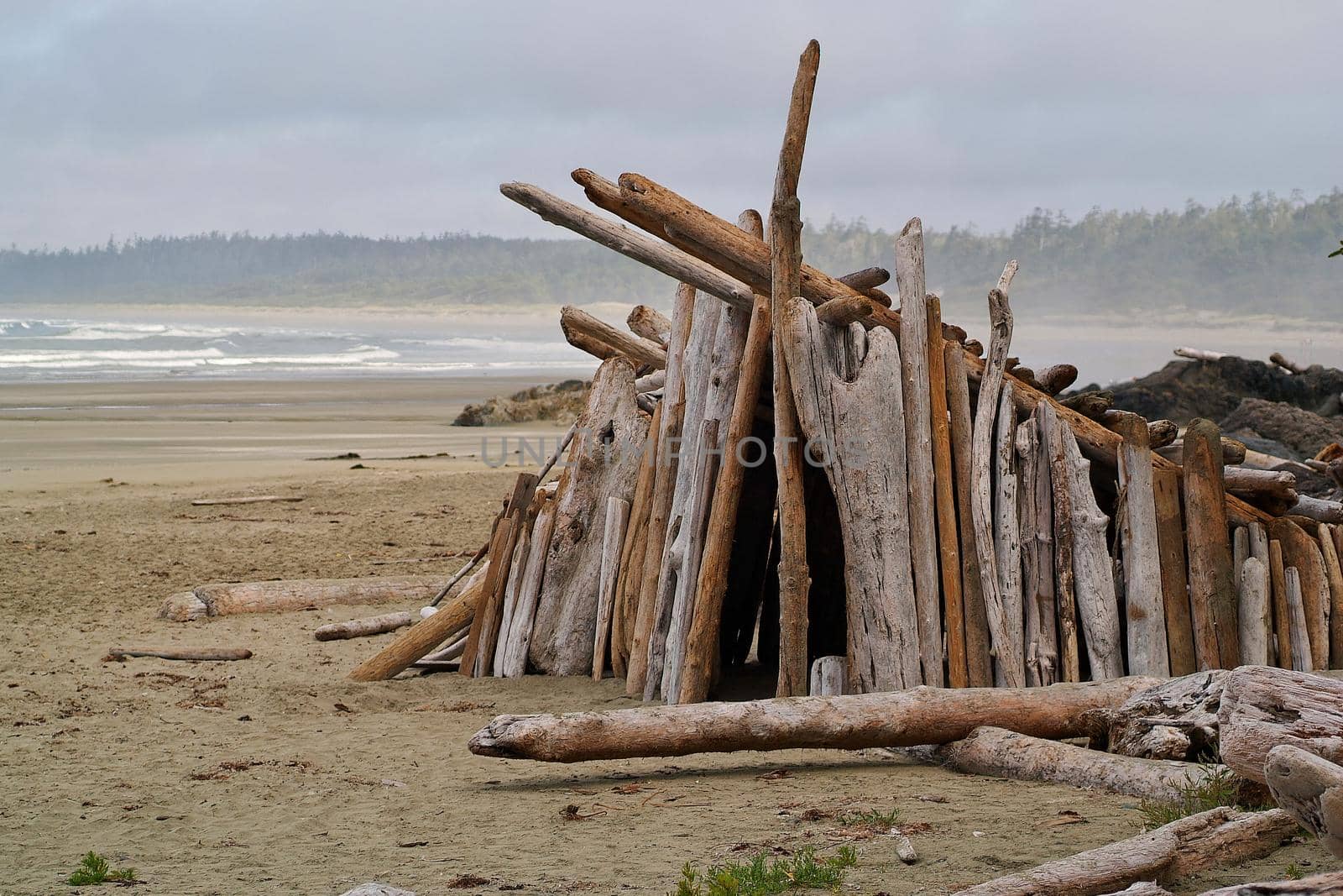 A Driftwood Shelter Built on the Beach in Tofino by markvandam