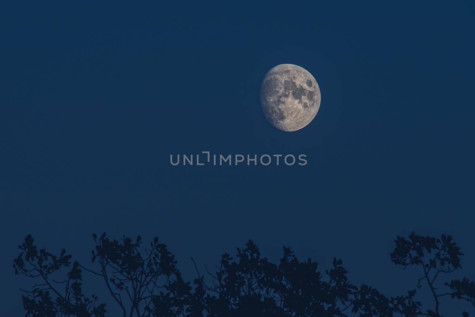 Moon isolated in dark night sky without visible stars.