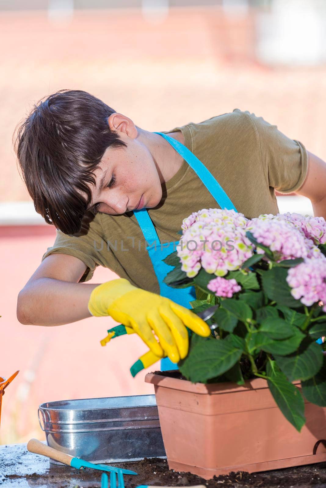 Young male cut flowers with pruning scissors in terrace