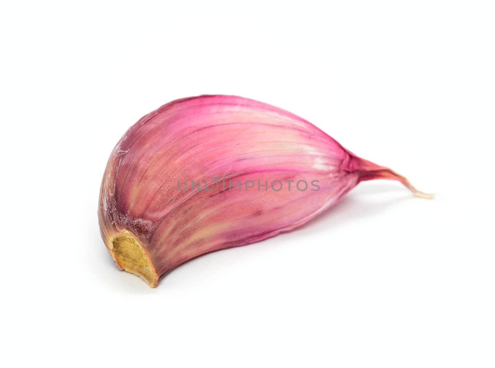Clove of garlic on white background by hamik