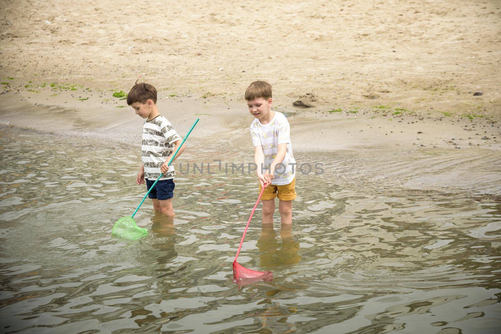 Two sibling little brother boy exploring the beach at low tide w by Kobysh