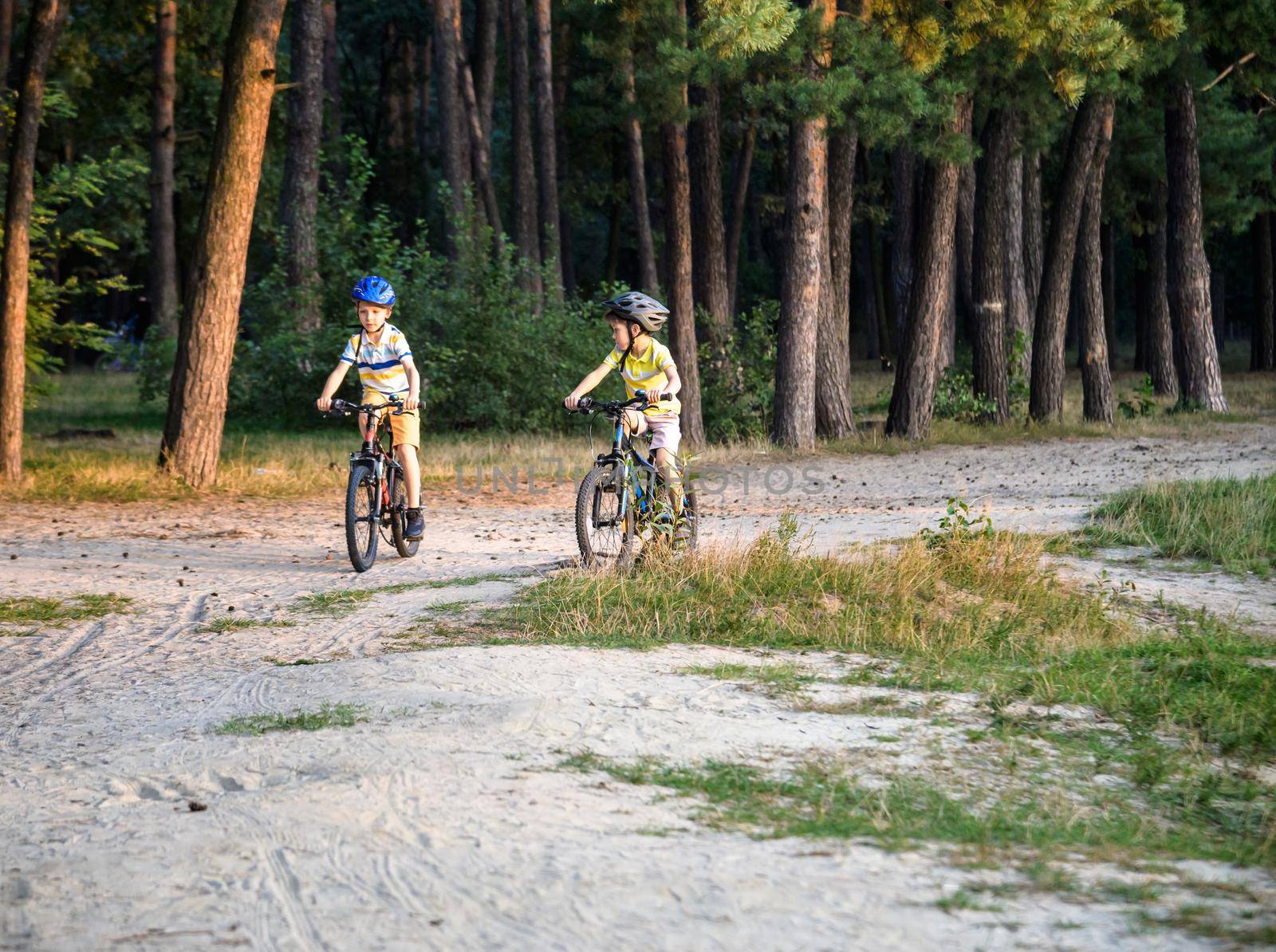 Two active little sibling boys having fun on bikes in forest on warm day. by Kobysh