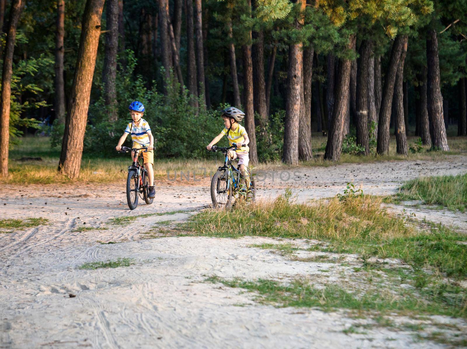 Two active little sibling boys having fun on bikes in forest on warm day. Healthy leisure with children concept.