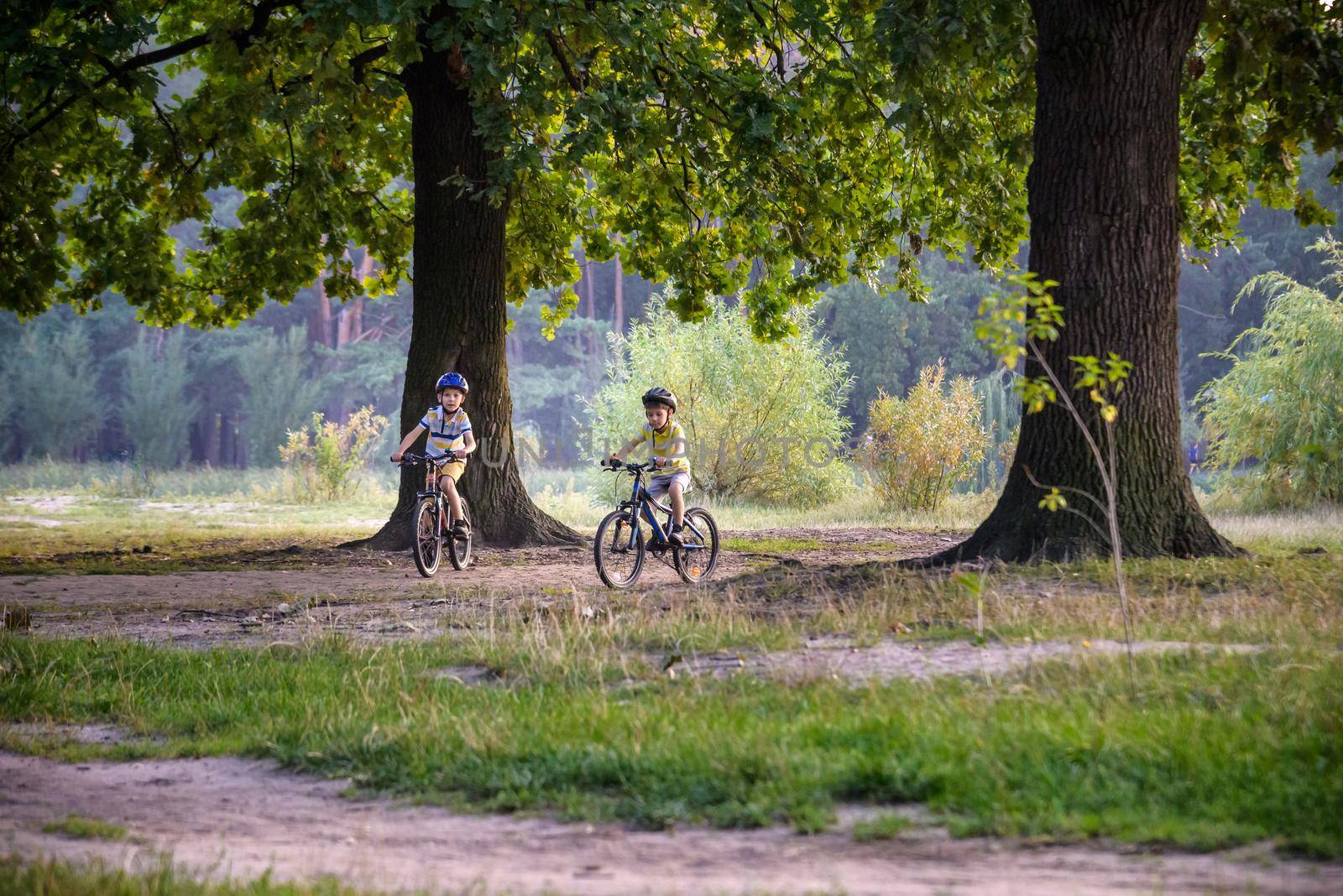 Two little kid boys in colorful casual clothes in summer forest park driving bicycle. Active children cycling on sunny fall day in nature. Safety, sports, leisure with kids concept.