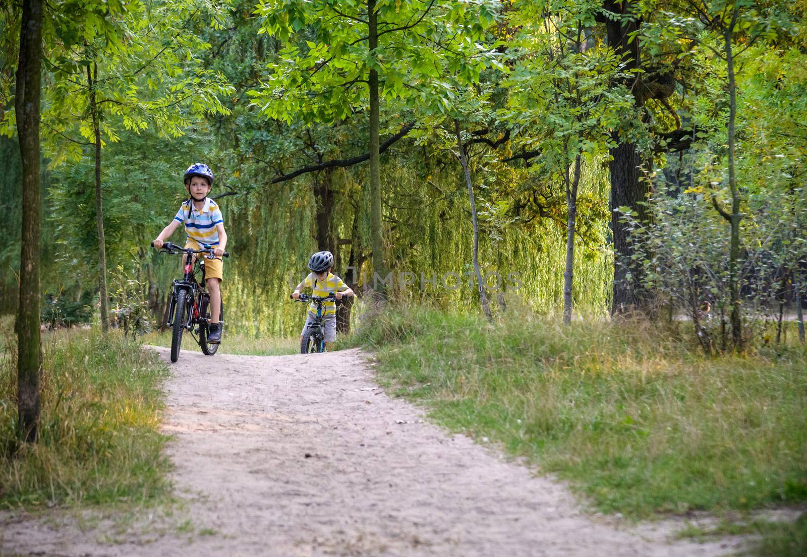 Two little boys children having fun on Balance Bike on a country road. Healthy lifestyle concept