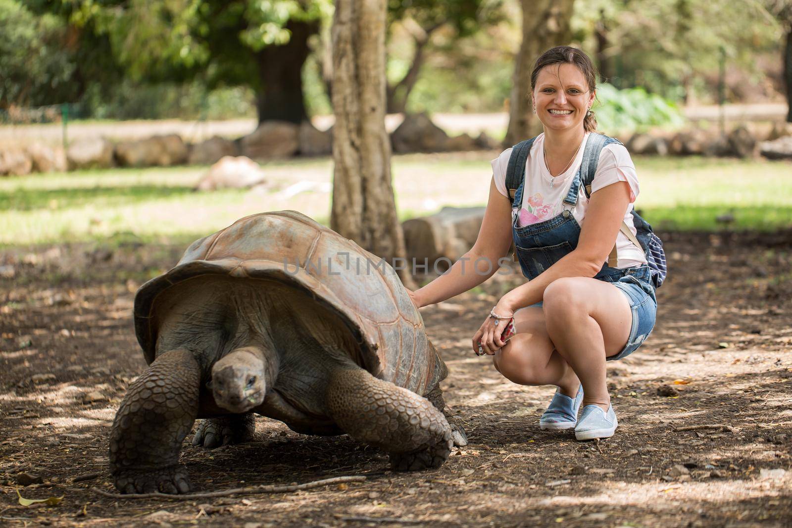 Woman strokes a giant turtle at the zoo