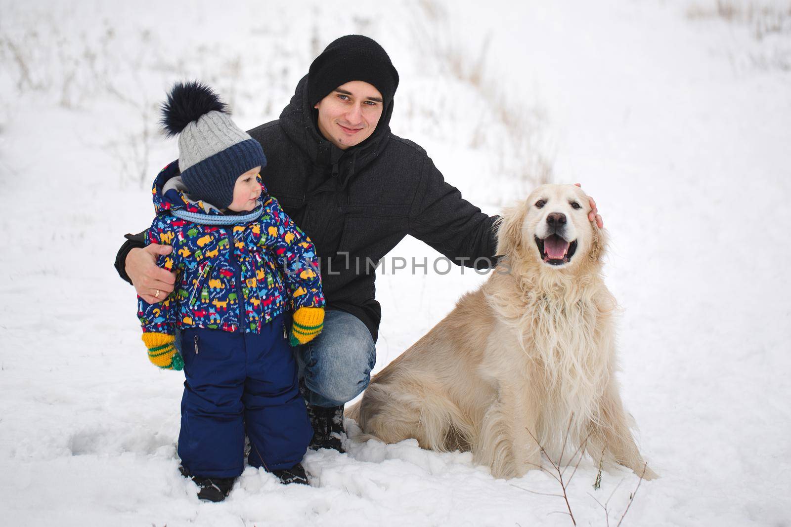 Dad and son play with the dog in the snow. Golden Retriever